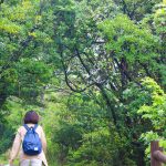 高尾山の初心者や子どもでも大丈夫な登山コースは？往復所要時間も！