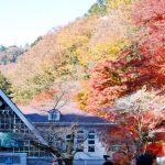高尾山紅葉2017の見頃時期ともみじまつり｜混雑しない時間帯は朝！